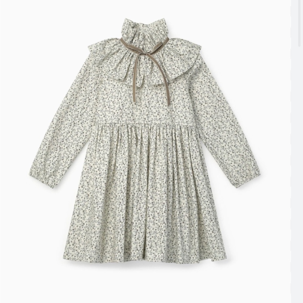 La Coqueta Flora Taupe & Blue Floral Dress 2Y BNWT